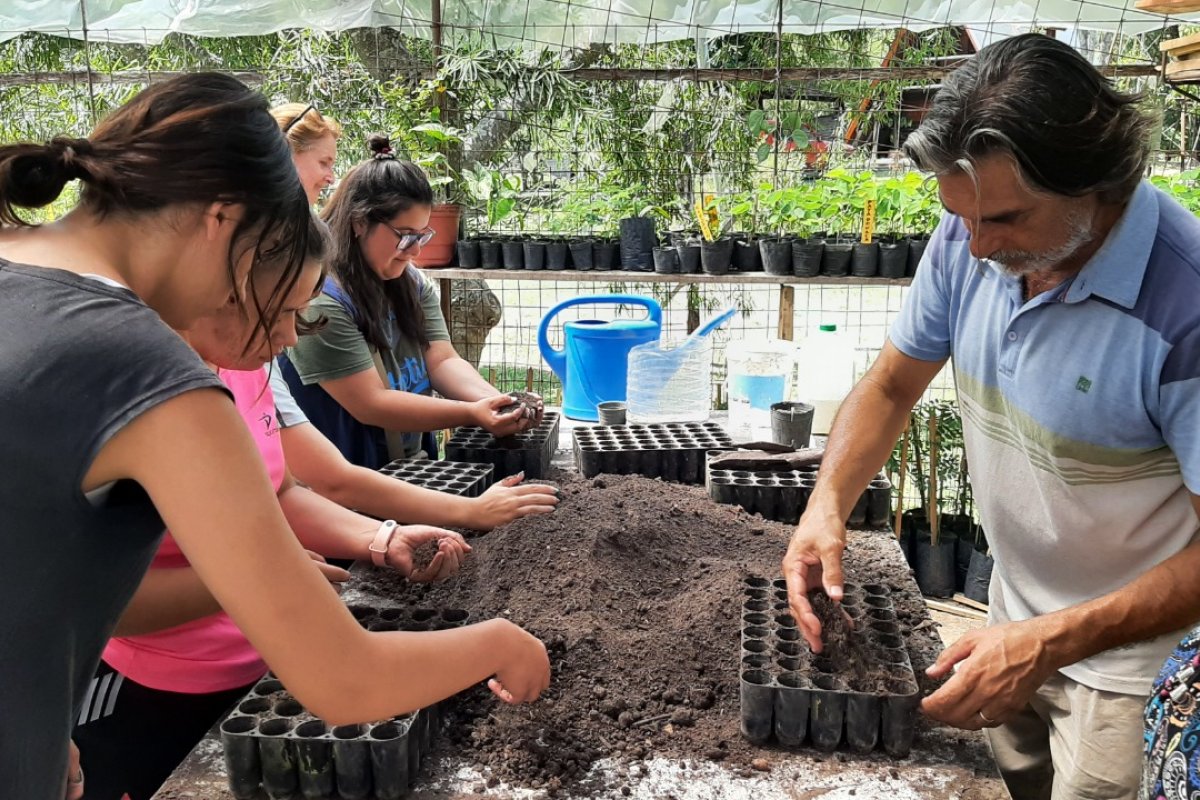 El Vivero Municipal De Rboles Nativos Invita A Los Vecinos A Conocerlo