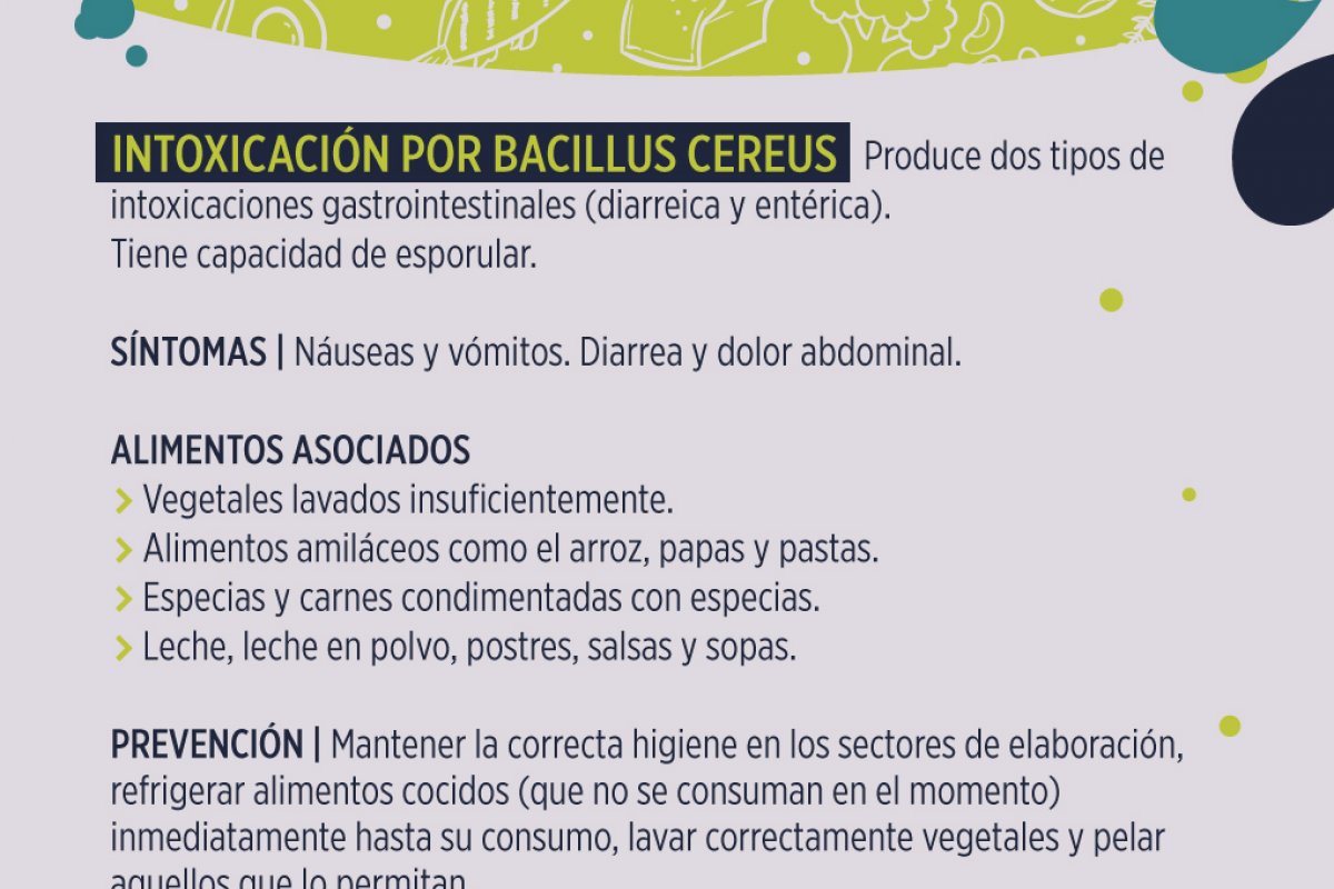 Enfermedades transmitidas por Alimentos intoxicación por Bacillus